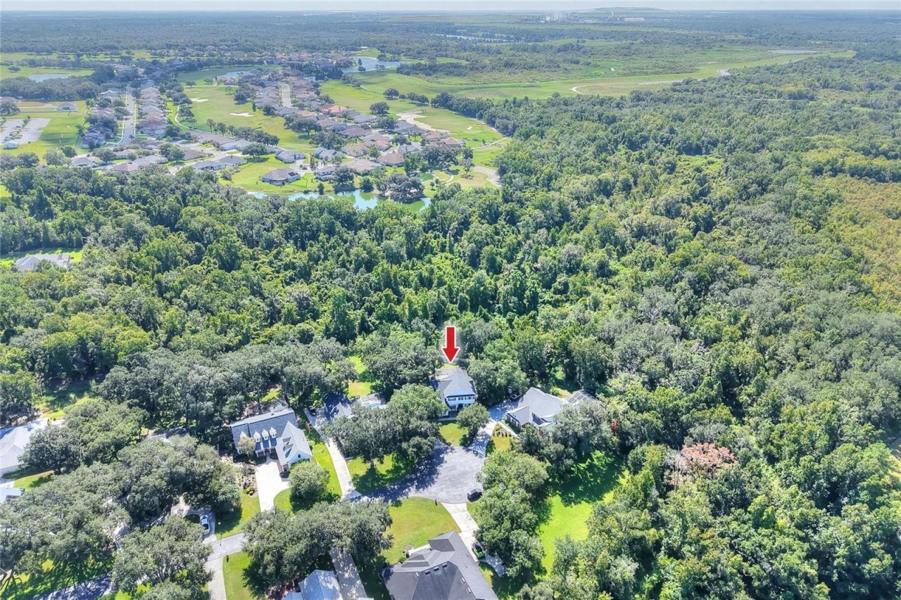 7365 Millbrook Oaks Drive , Lakeland, FL 33813 Photo