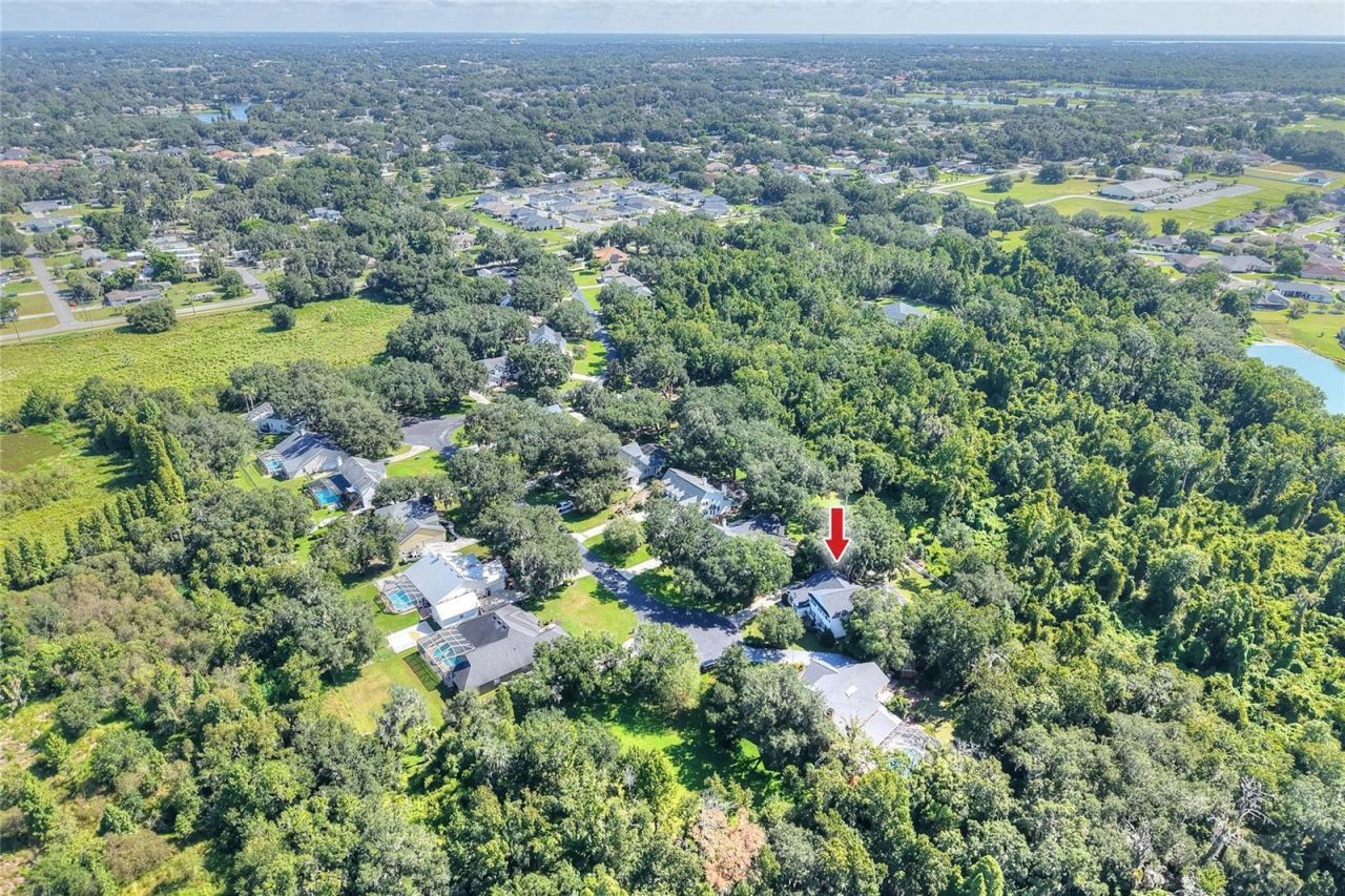 7365 Millbrook Oaks Drive , Lakeland, FL 33813 Photo