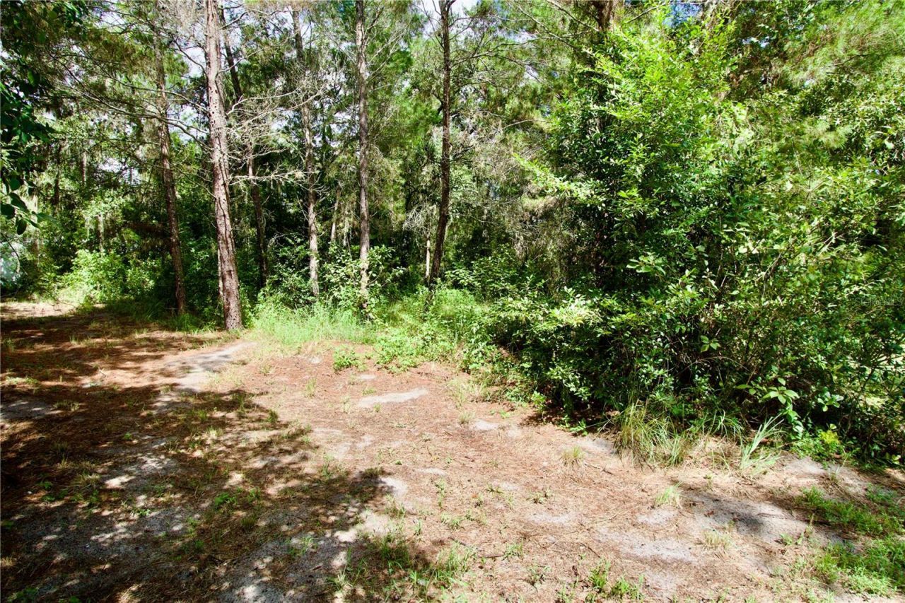 9669 Marley Avenue , New Port Richey, FL 34654 Photo