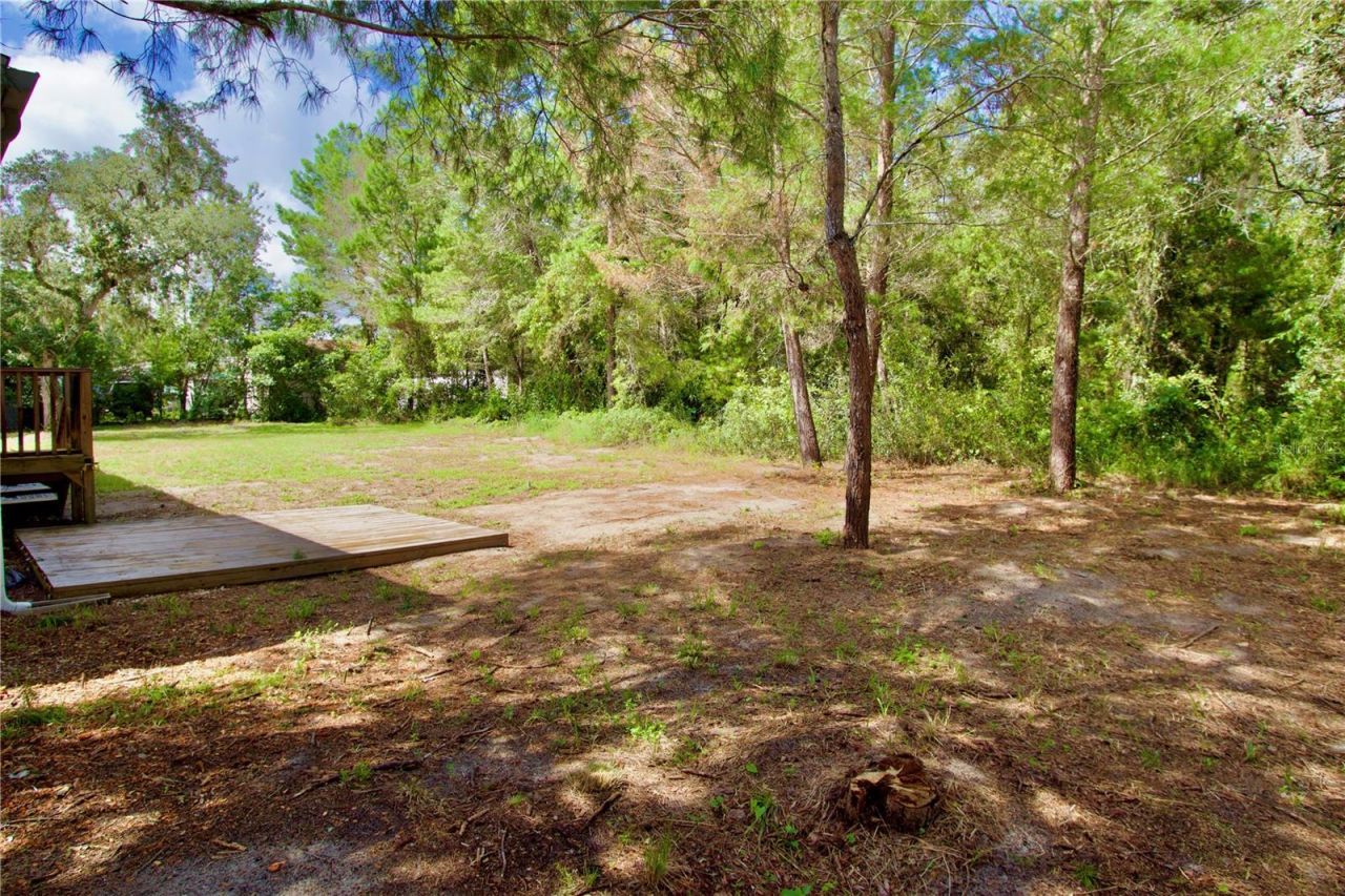 9669 Marley Avenue , New Port Richey, FL 34654 Photo