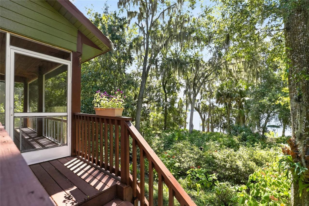 243 Herman Drive, Hawthorne, FL 32640 Photo