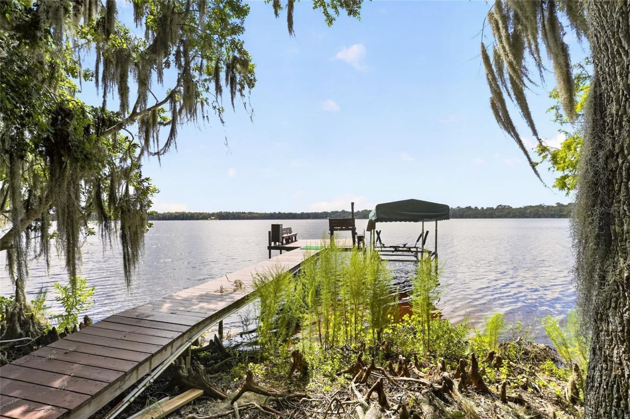 243 Herman Drive, Hawthorne, FL 32640 Photo