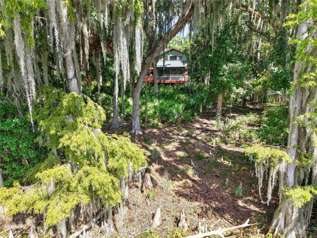 243 Herman Drive, Hawthorne, FL 32640 Photo
