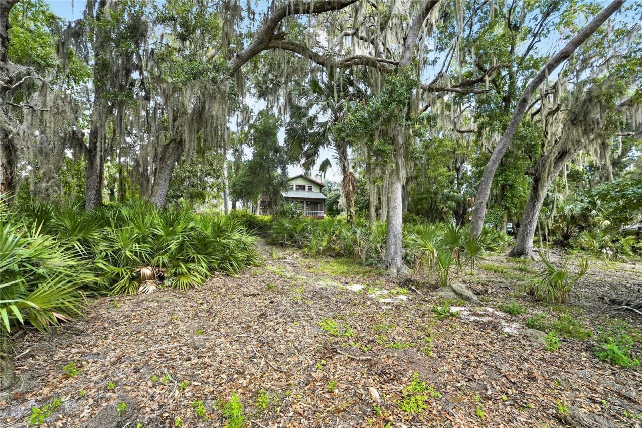 243 Herman Drive, Hawthorne, FL 32640 Photo