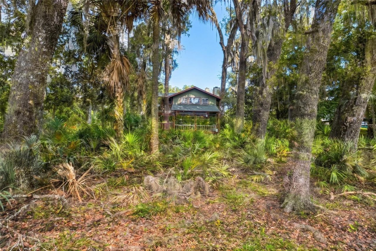 243 Herman Drive, Hawthorne, FL 32640 Photo