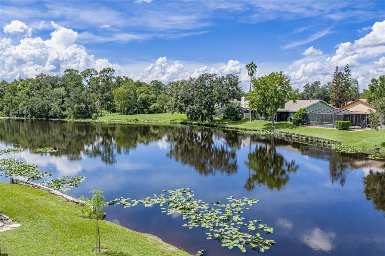108 Capri Court N, Plant City, FL 33566 Photo