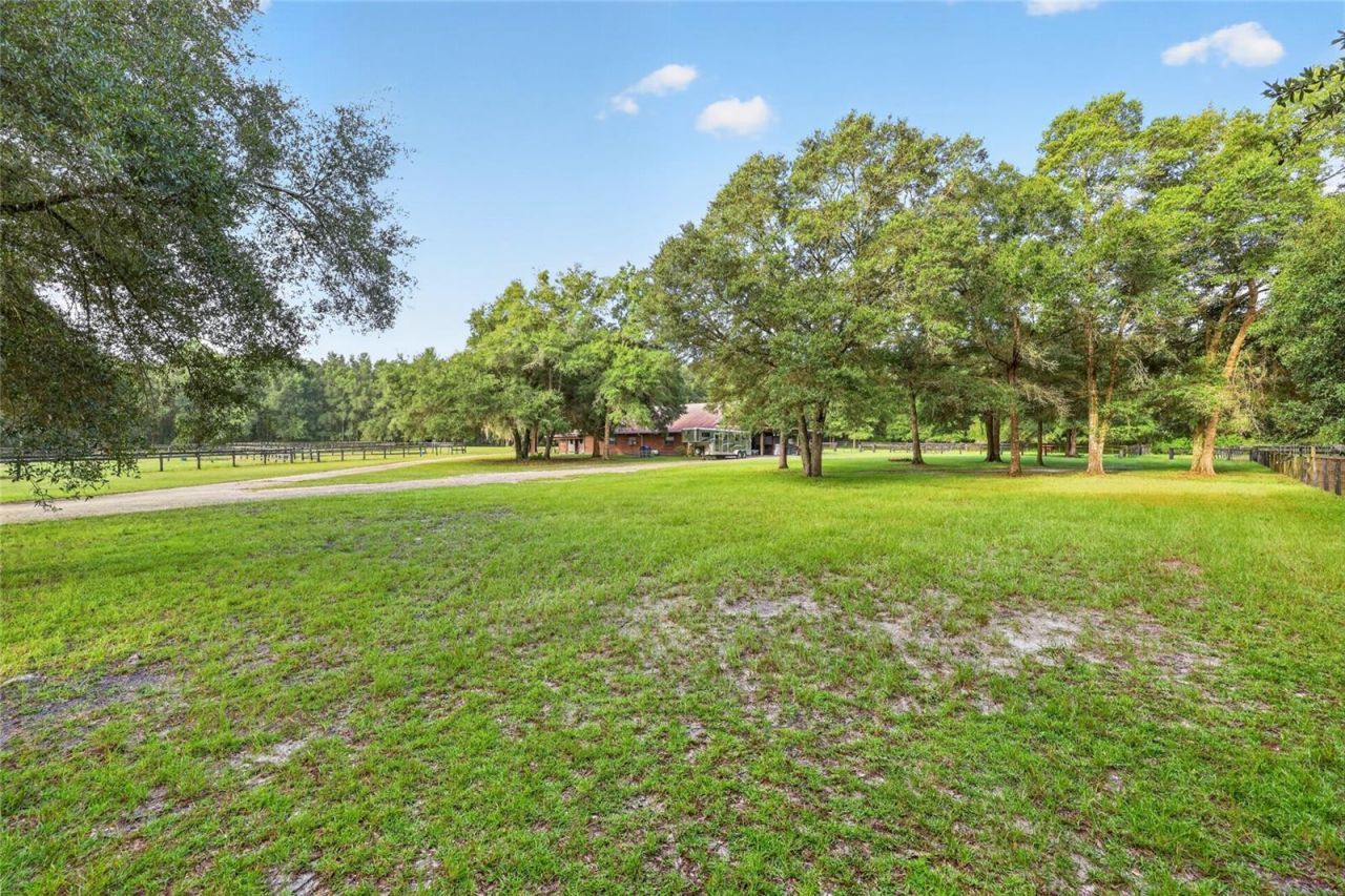 6490 NE 167th Avenue , Williston, FL 32696 Photo