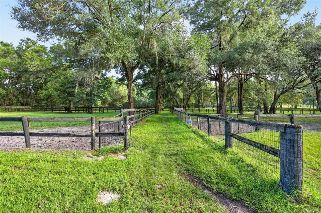 6490 NE 167th Avenue , Williston, FL 32696 Photo