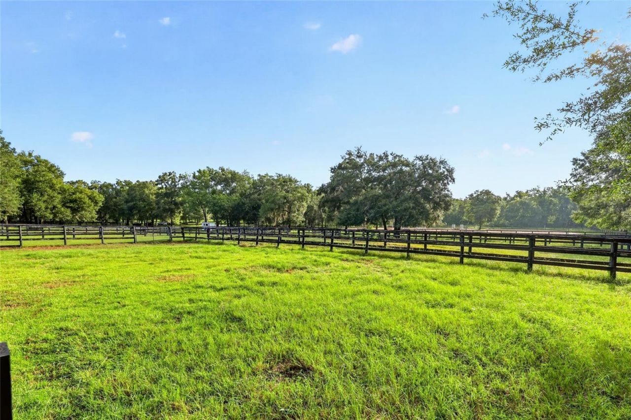 6490 NE 167th Avenue , Williston, FL 32696 Photo