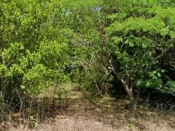 19949 RAINBOW LAKES BOULEVARD , DUNNELLON, FL 34431