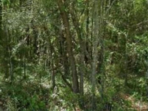 20550 MARINE BOULEVARD , DUNNELLON, FL 34431