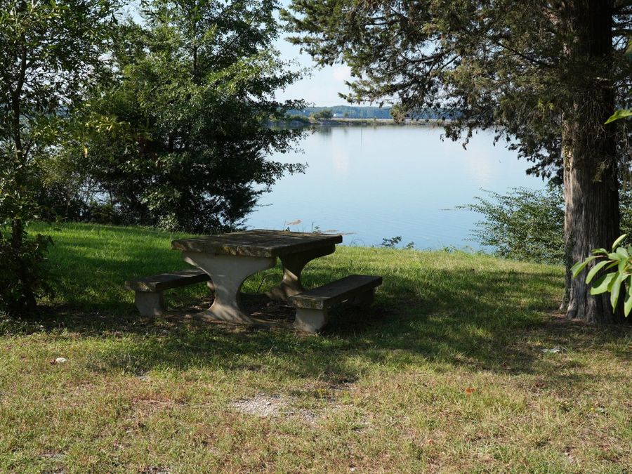 Property Image 64