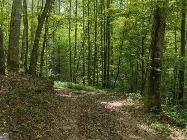 300 Sumac Lane, Unit 53, Ellijay, GA 30540