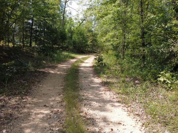 0 Hogg Hill Rd , Lobelville, TN 37097