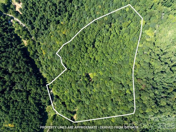 99999 Patsy Creek Road, Burnsville, NC 28714