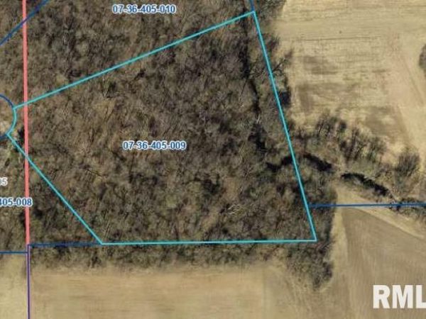 Lot 9 Homestead Valley , Greenview, IL 62642