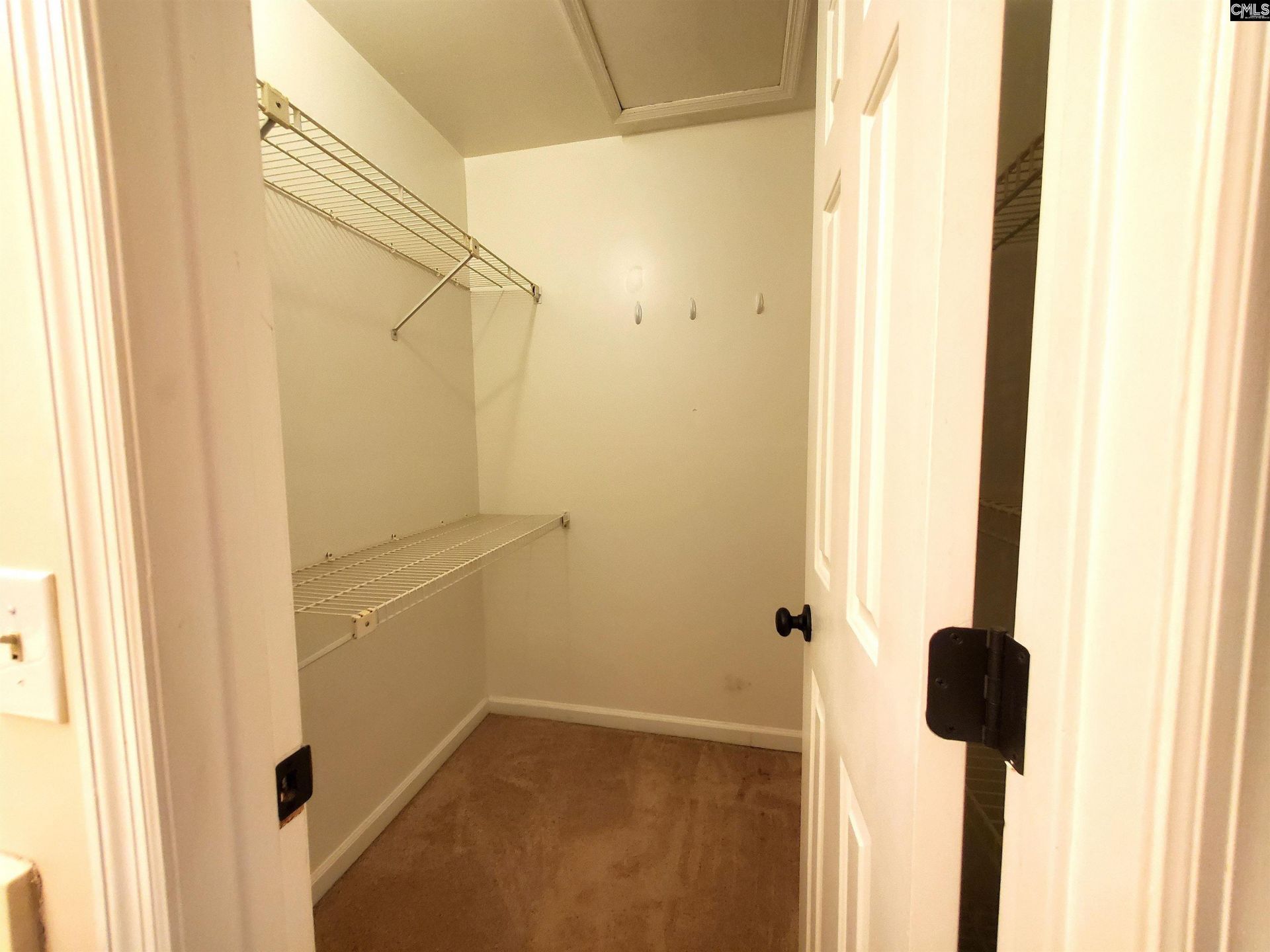 304 New Brookland Place Photo 19