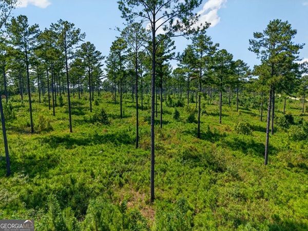 0 Hwy 30, Unit TRACT A, Buena Vista, GA 31803