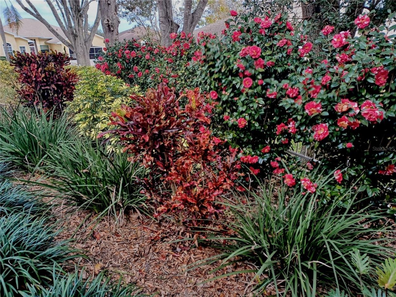 21142 Edinborough Place, Leesburg, FL 34748 Photo