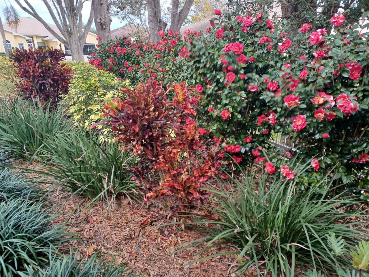 21142 Edinborough Place, Leesburg, FL 34748 Photo
