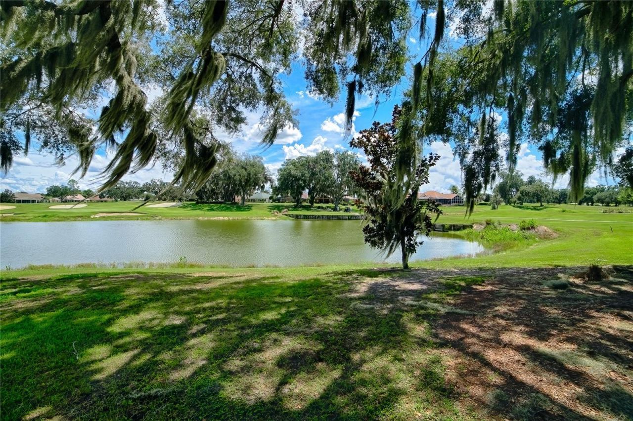 1130 Sayle Street, The Villages, FL 32162 Photo