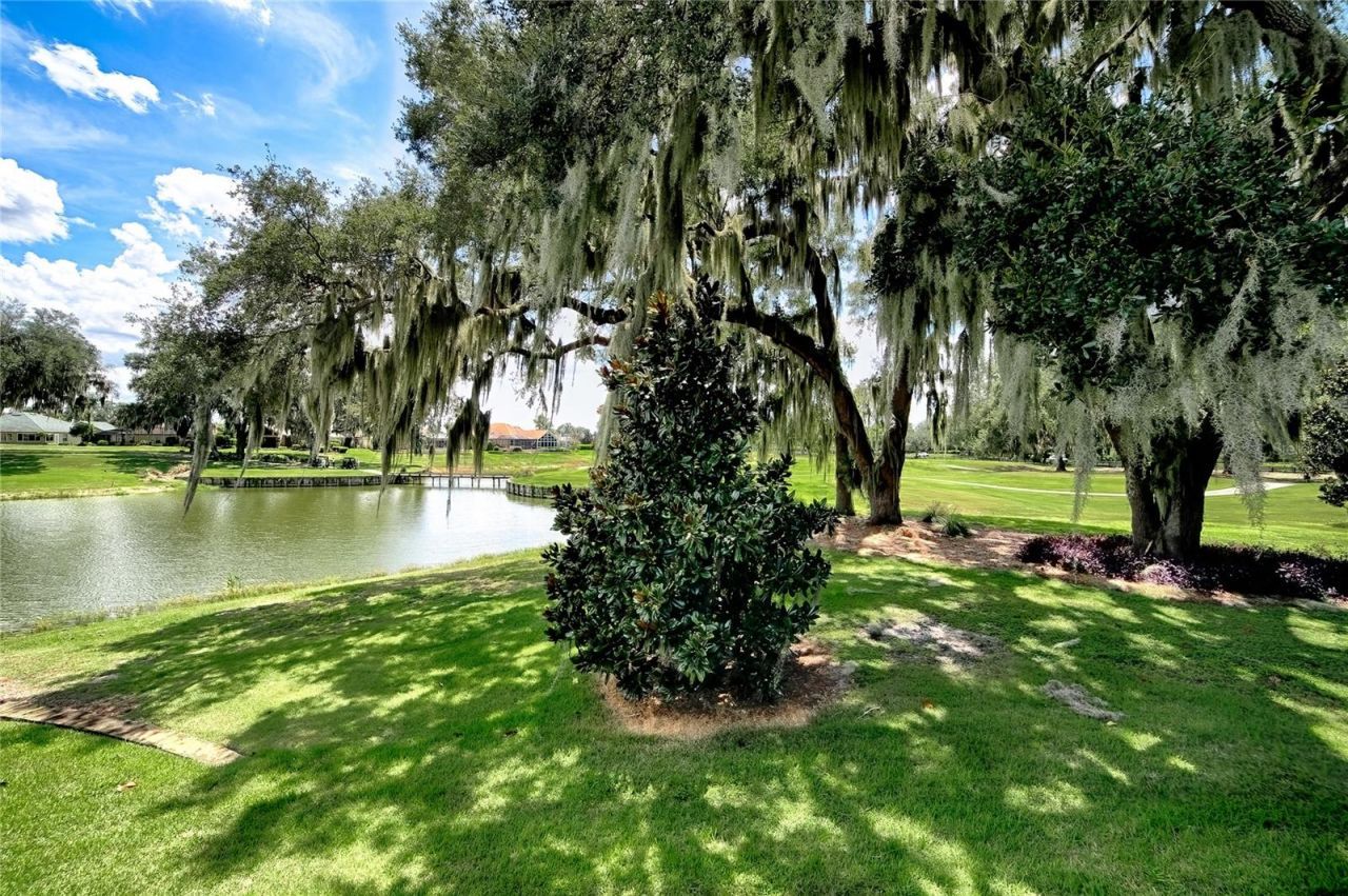 1130 Sayle Street, The Villages, FL 32162 Photo