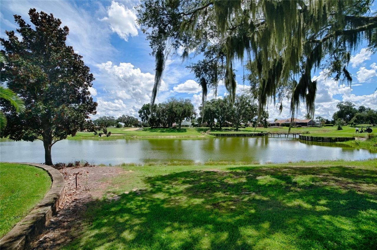 1130 Sayle Street, The Villages, FL 32162 Photo