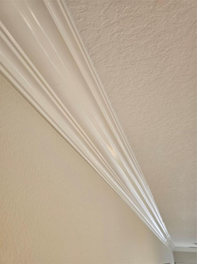 1130 Sayle Street, The Villages, FL 32162 Photo