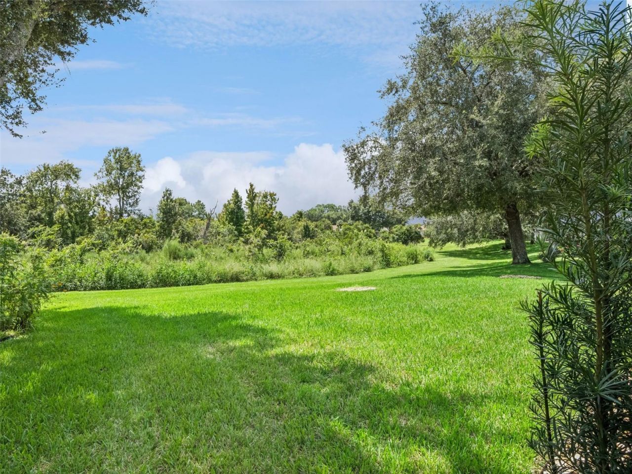 5602 Squires Drive , Leesburg, FL 34748 Photo