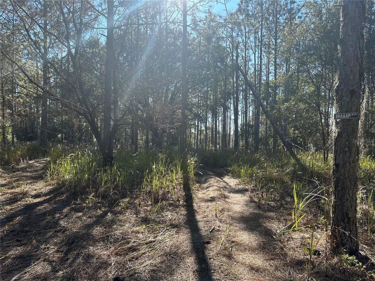 2406 Lake Ella Road, Fruitland Park, FL 34731 Photo