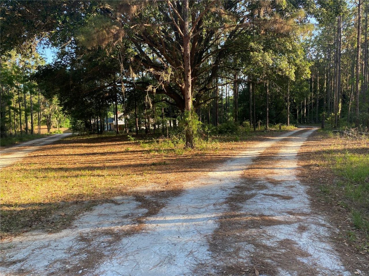 2406 Lake Ella Road, Fruitland Park, FL 34731 Photo