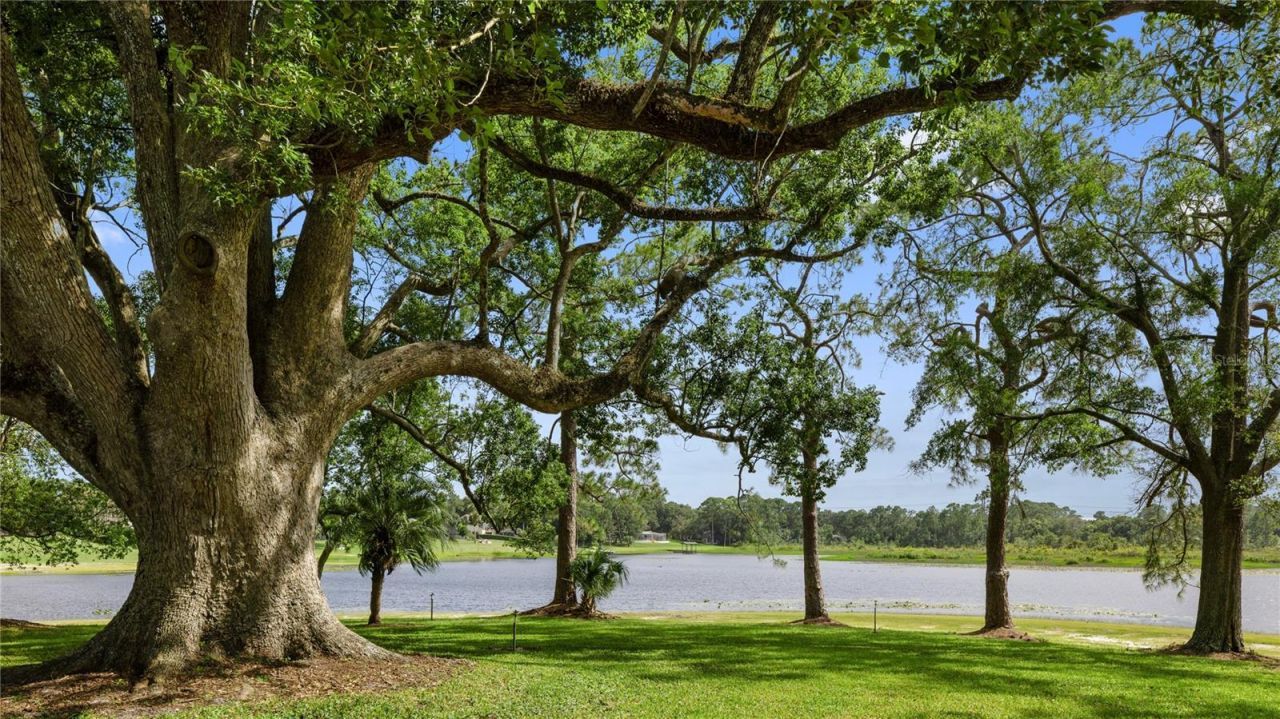 2636 Reagan Trail, Lake Mary, FL 32746 Photo