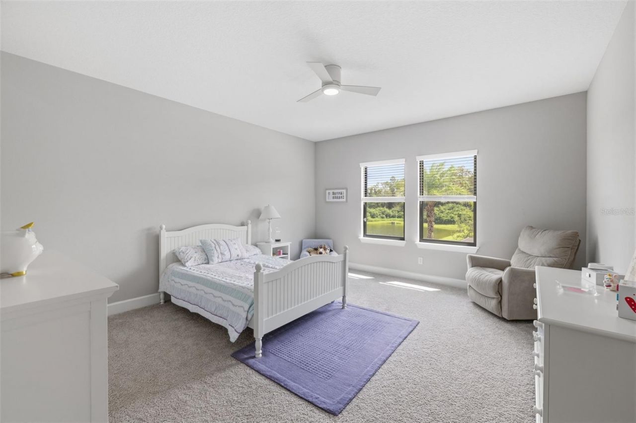 18615 Rue Beauvais, Lutz, FL 33558 Photo