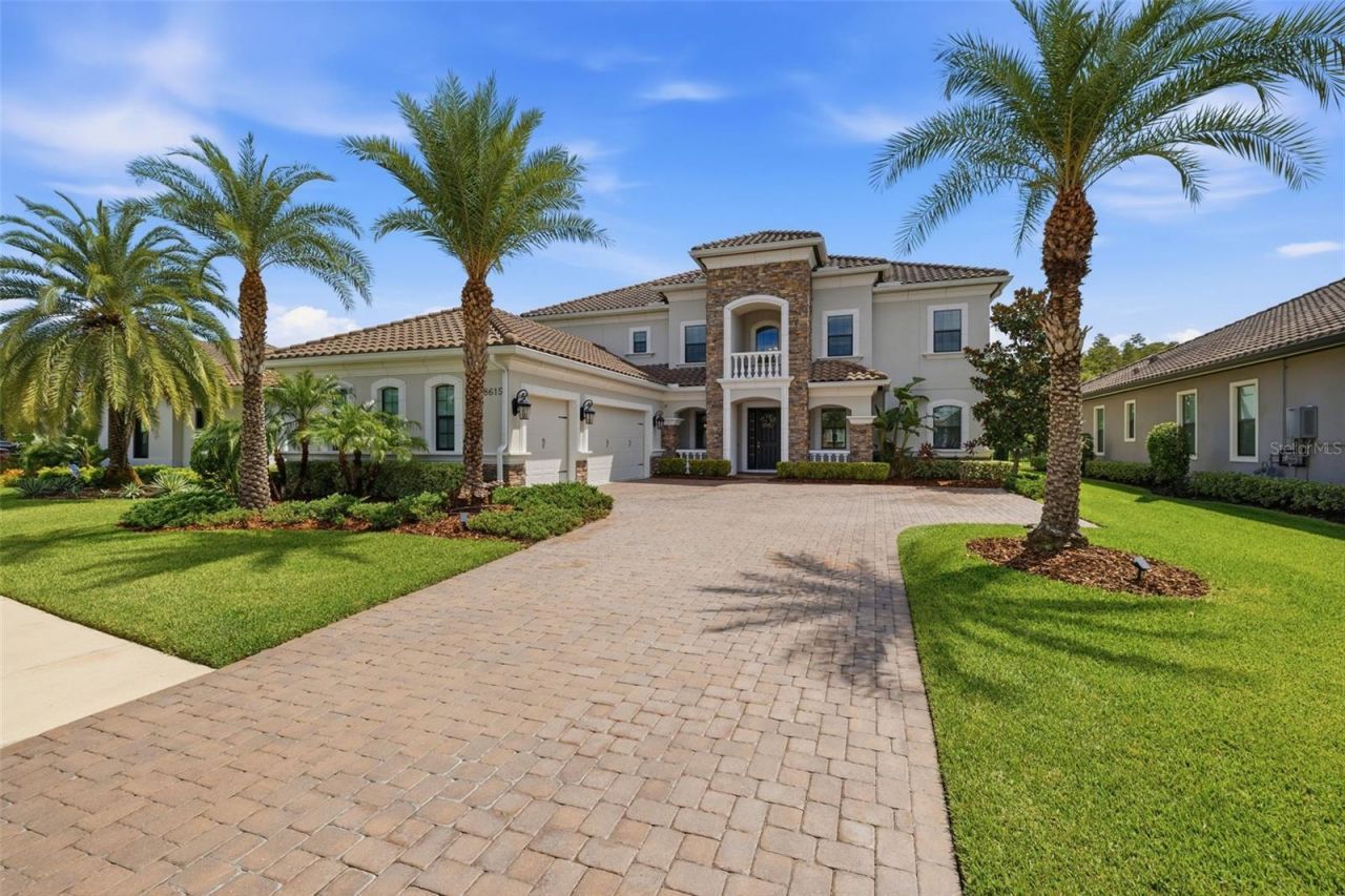 18615 Rue Beauvais, Lutz, FL 33558 Photo