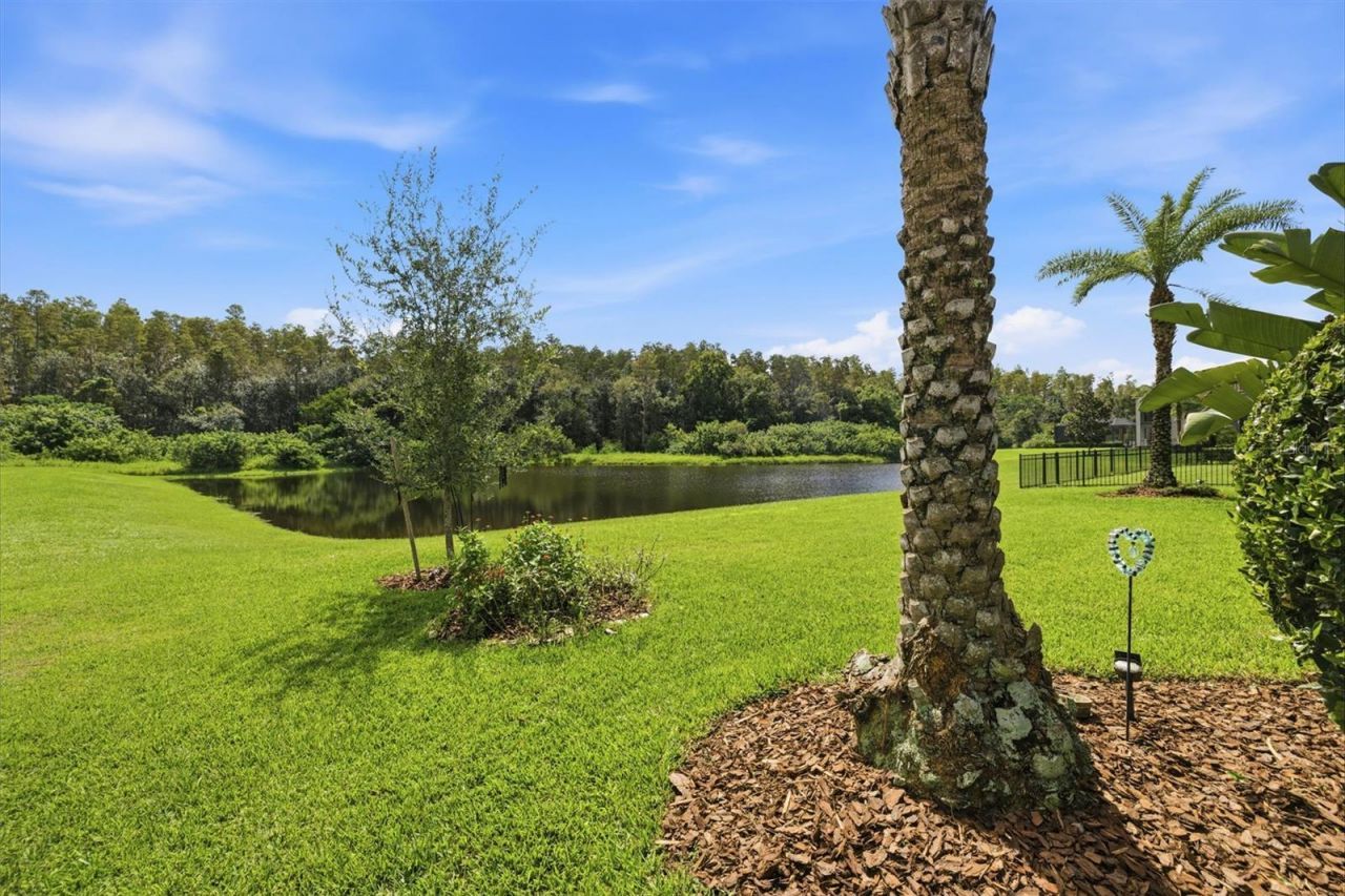 18615 Rue Beauvais, Lutz, FL 33558 Photo