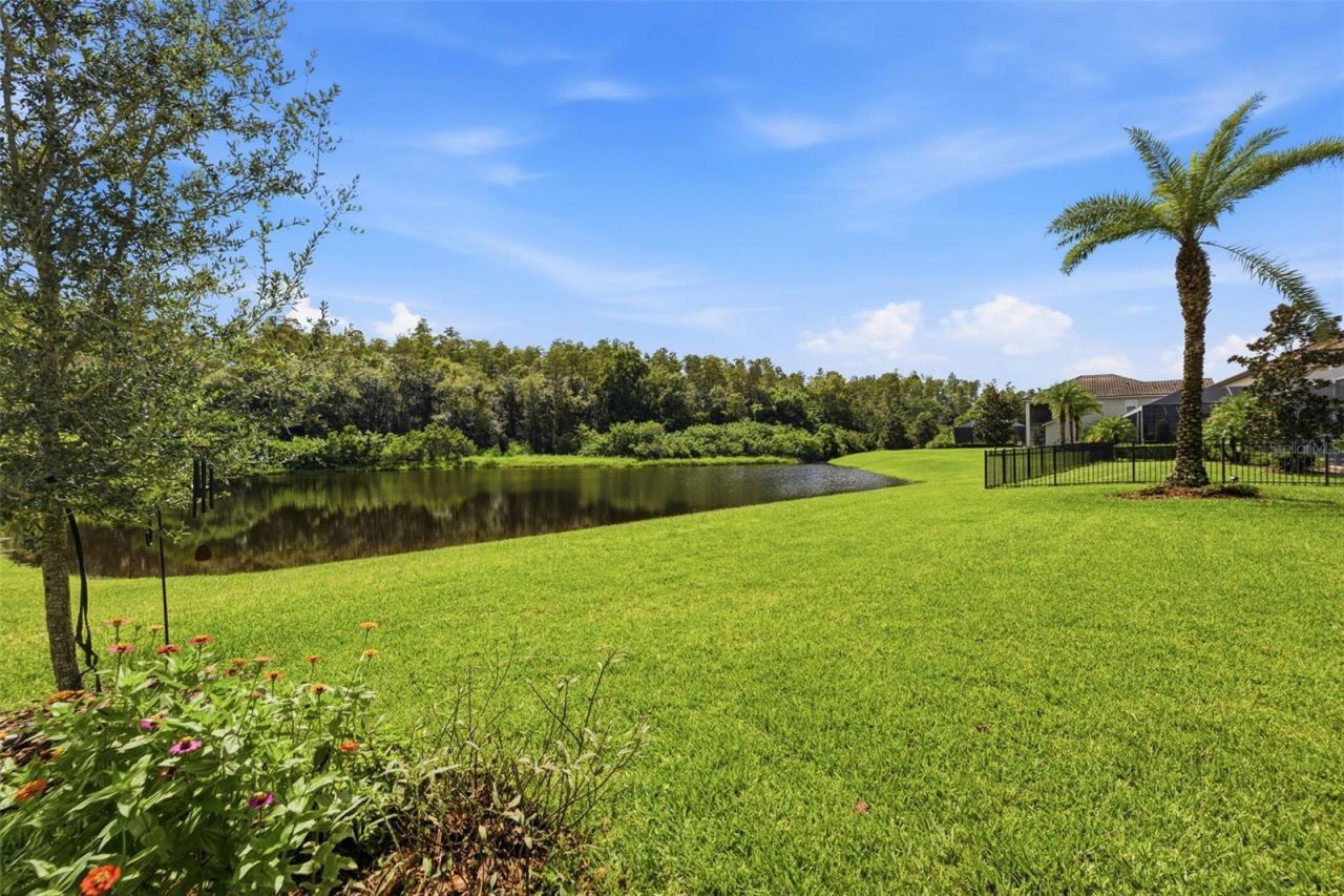 18615 Rue Beauvais, Lutz, FL 33558 Photo