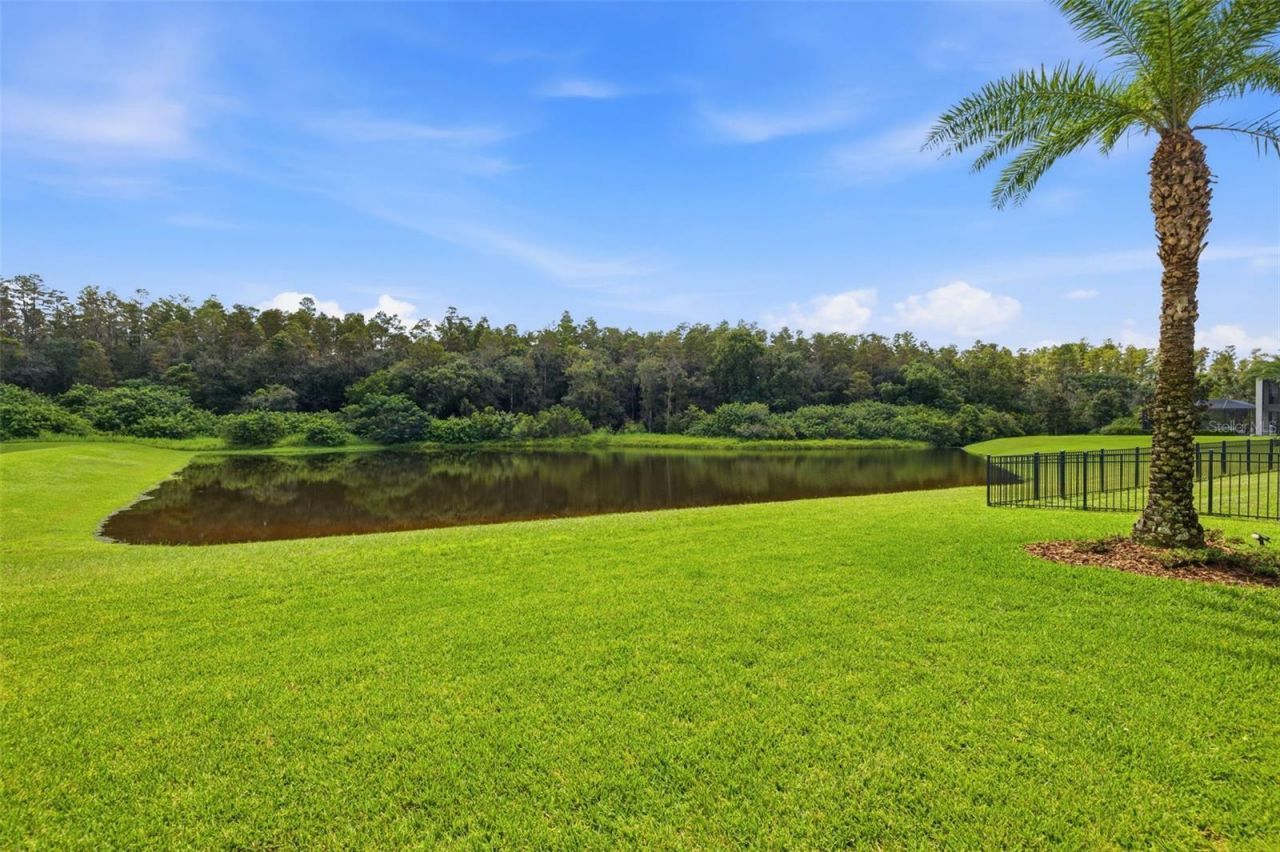 18615 Rue Beauvais, Lutz, FL 33558 Photo