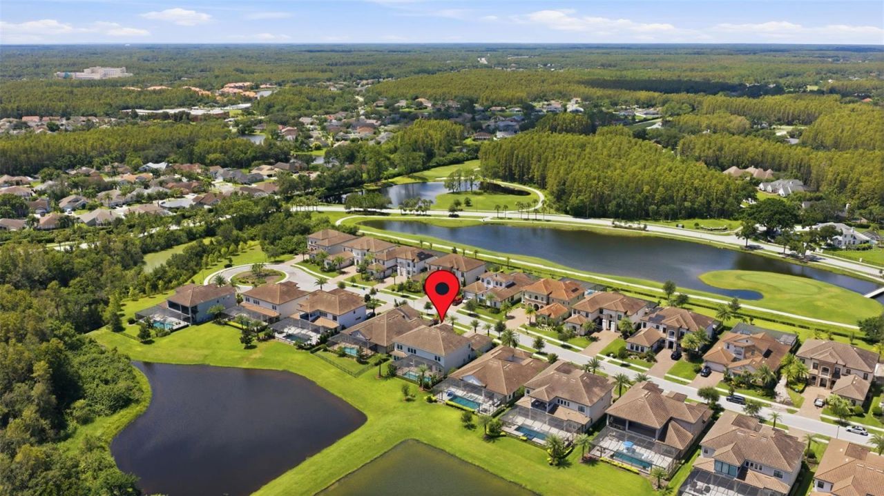 18615 Rue Beauvais, Lutz, FL 33558 Photo