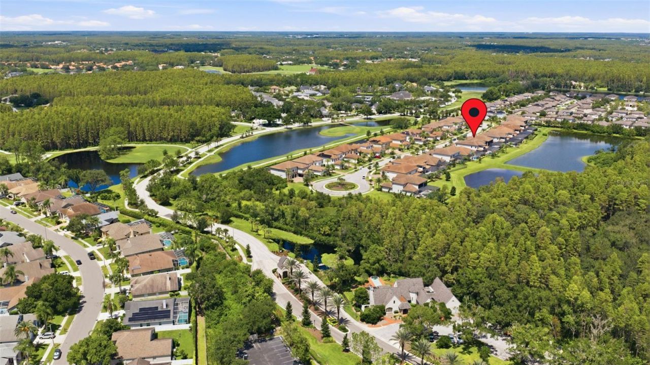 18615 Rue Beauvais, Lutz, FL 33558 Photo