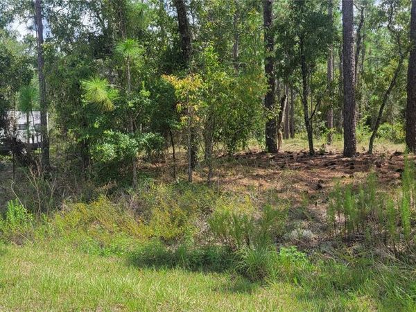 0 NW HILLSDALE AVENUE , DUNNELLON, FL 34431