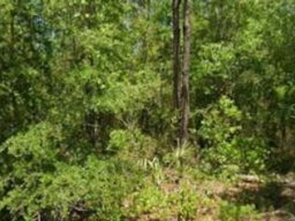 21425 RAINBOW LAKES BOULEVARD , DUNNELLON, FL 34431