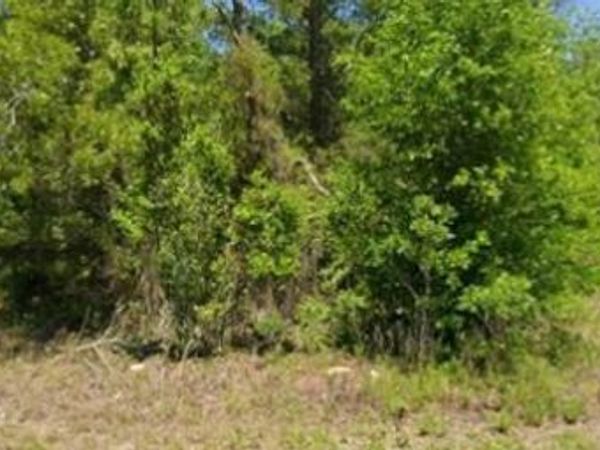 21943 RAINBOW LAKES BOULEVARD , DUNNELLON, FL 34431