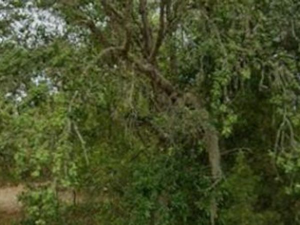 28860 MARINE BOULEVARD , DUNNELLON, FL 34431