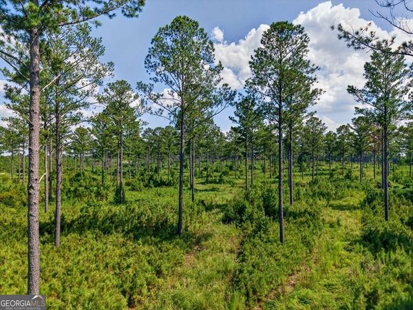 0 Hwy 30, Unit TRACT B, Buena Vista, GA 31803