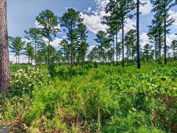 0 Hwy 30, Unit TRACT C, Buena Vista, GA 31803