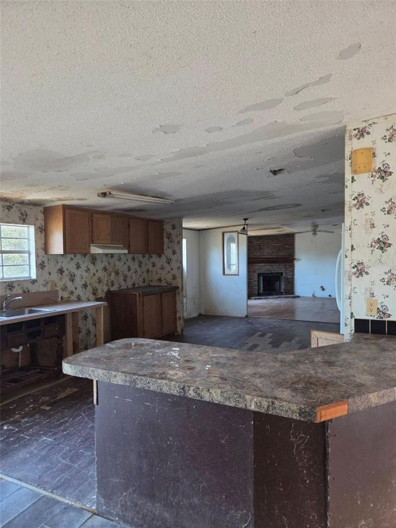 10543 Denton Avenue, Hudson, FL 34667 Photo