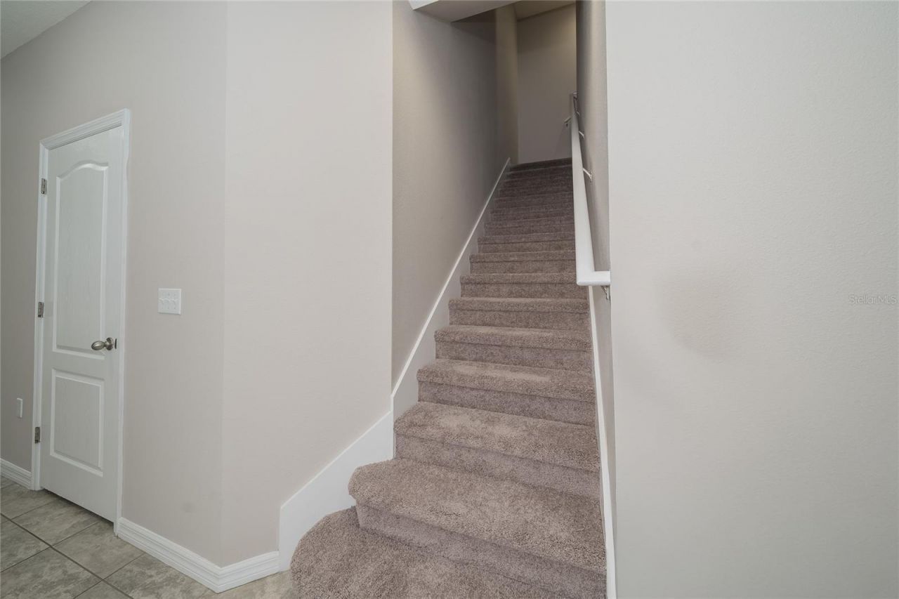 26945 Juniper Bay Drive , Wesley Chapel, FL 33544 Photo
