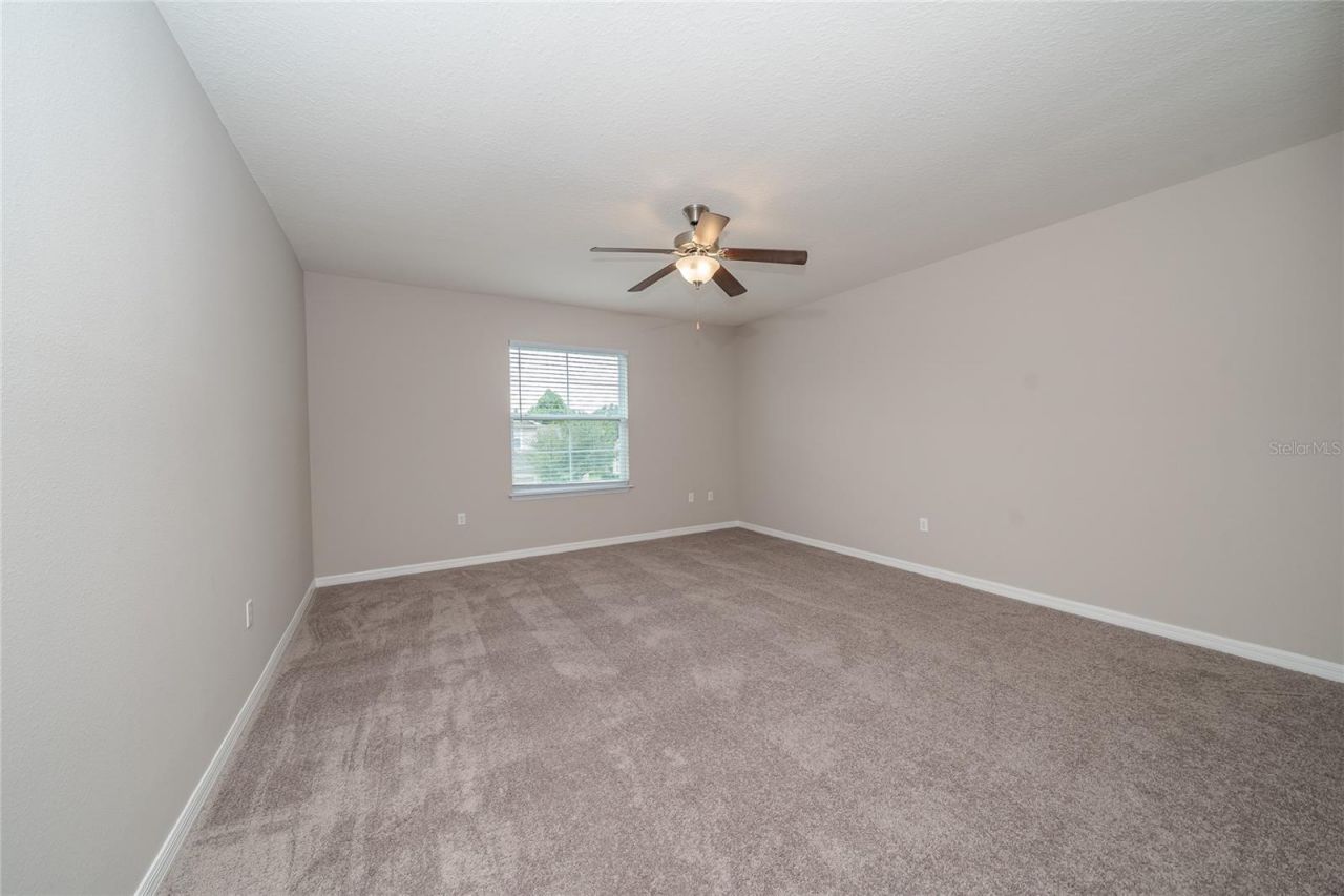 26945 Juniper Bay Drive , Wesley Chapel, FL 33544 Photo