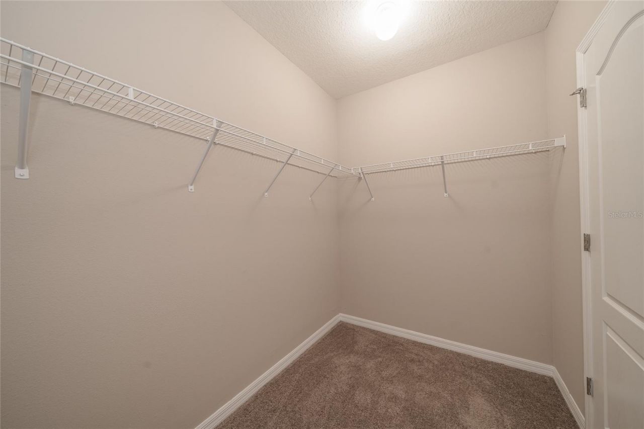 26945 Juniper Bay Drive , Wesley Chapel, FL 33544 Photo
