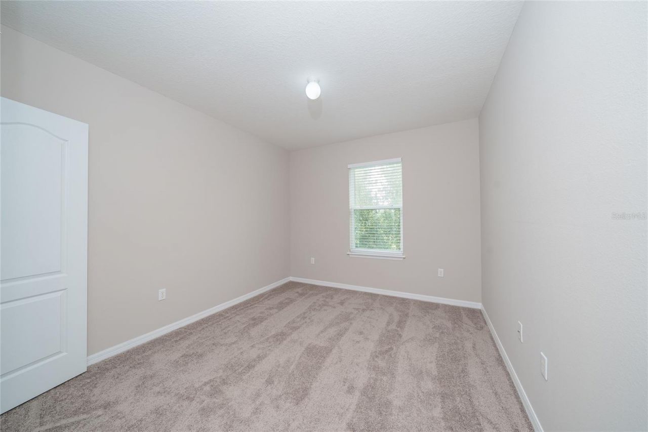26945 Juniper Bay Drive , Wesley Chapel, FL 33544 Photo